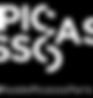 logo picasso.jpeg